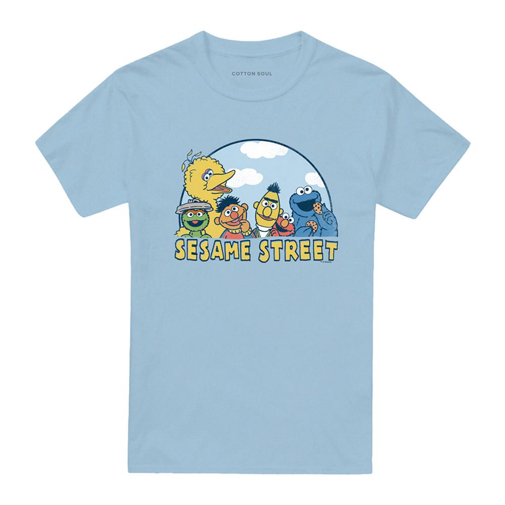 Light Blue - Front - Sesame Street Unisex Adult Group T-Shirt
