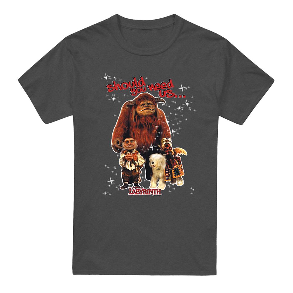 Charcoal - Front - Labyrinth Unisex Adult Should You Need Us Heather T-Shirt