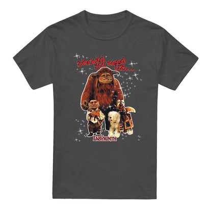 Charcoal - Front - Labyrinth Unisex Adult Should You Need Us Heather T-Shirt