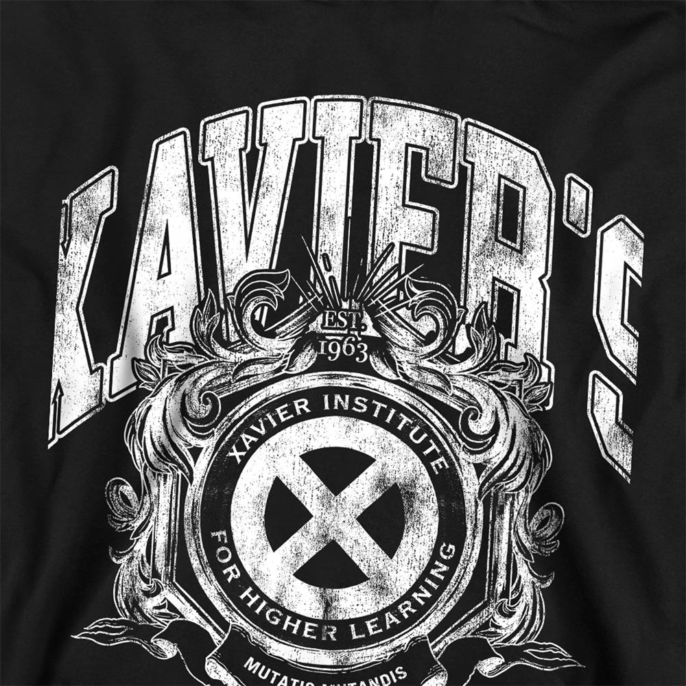 Athletic Heather - Back - X-Men Childrens-Kids Athletic Dept Professor X Pull Over Hoodie