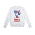 Sports Grey - Front - Disney Womens-Ladies Mickey Mouse USA Sweatshirt