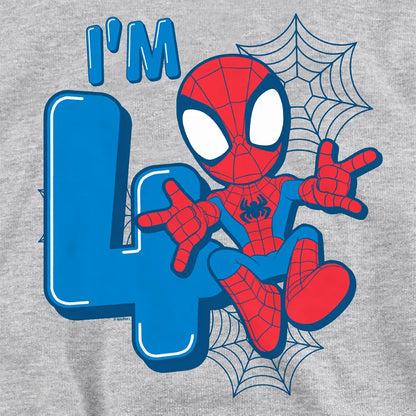 Athletic Heather - Pack Shot - Spider-Man Childrens-Kids Heather Pull Over 4th Birthday Hoodie