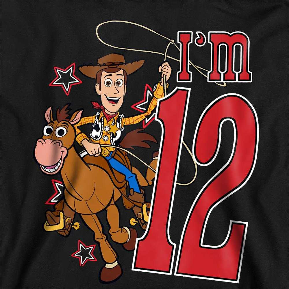 Black - Pack Shot - Toy Story Childrens-Kids I´m 12 Woody Birthday Pullover Hoodie