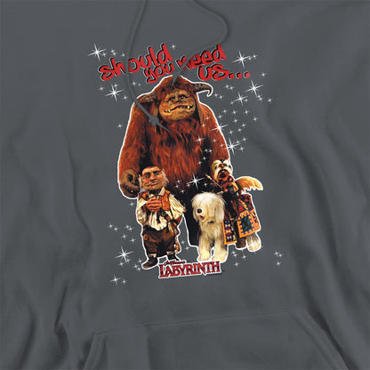 Charcoal - Side - Labyrinth Unisex Adult Should You Need Us Hoodie