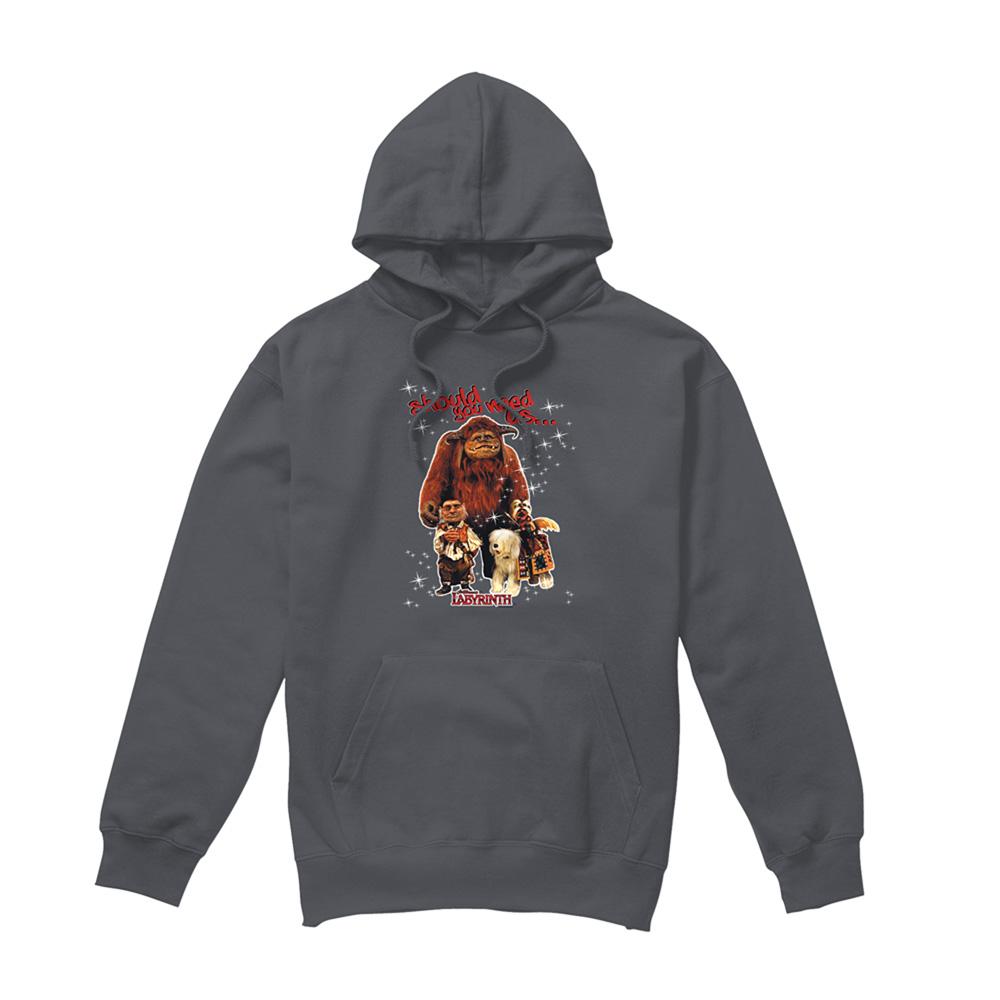 Charcoal - Front - Labyrinth Unisex Adult Should You Need Us Hoodie