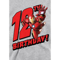 Athletic Heather - Side - Marvel Childrens-Kids Iron Man Heather 12th Birthday Hoodie