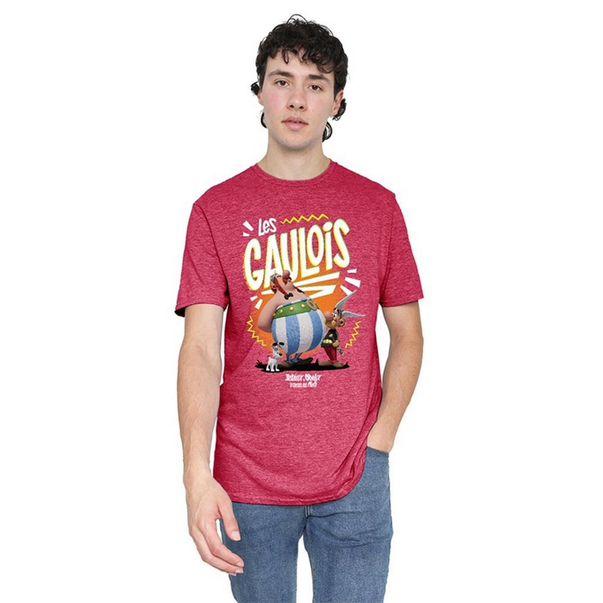 Heather Red - Lifestyle - Asterix Unisex Adult The Heroic Gauls Heather T-Shirt