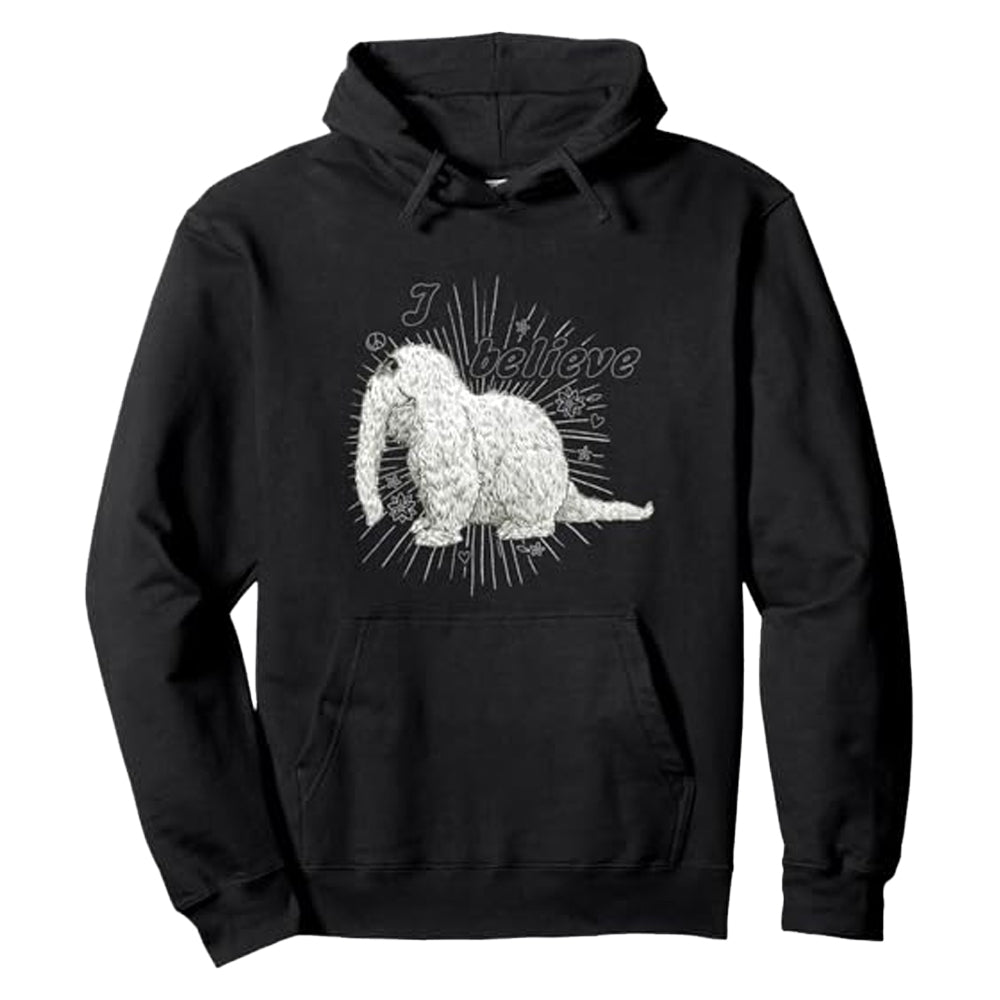 Black - Front - Sesame Street Unisex Adult I Believe Snuffleupagus Hoodie