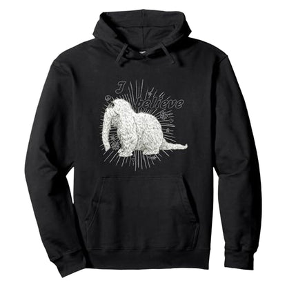 Black - Front - Sesame Street Unisex Adult I Believe Snuffleupagus Hoodie