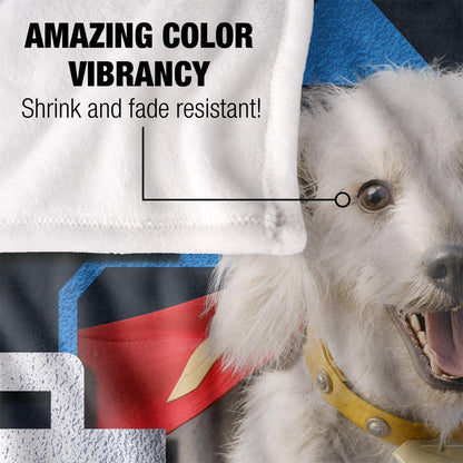 Black-White - Lifestyle - Superman Silky Diamond Krypto Supersoft Blanket