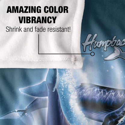 Multicoloured - Lifestyle - JQ Licensing Silky Whale Supersoft Blanket