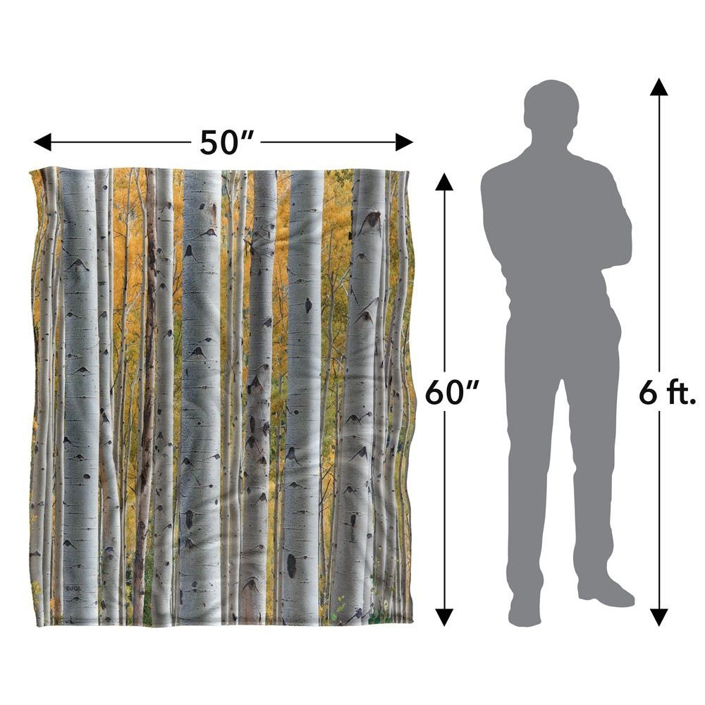 Multicoloured - Pack Shot - JQ Licensing James Piazza Silky Birch Trees Supersoft Blanket