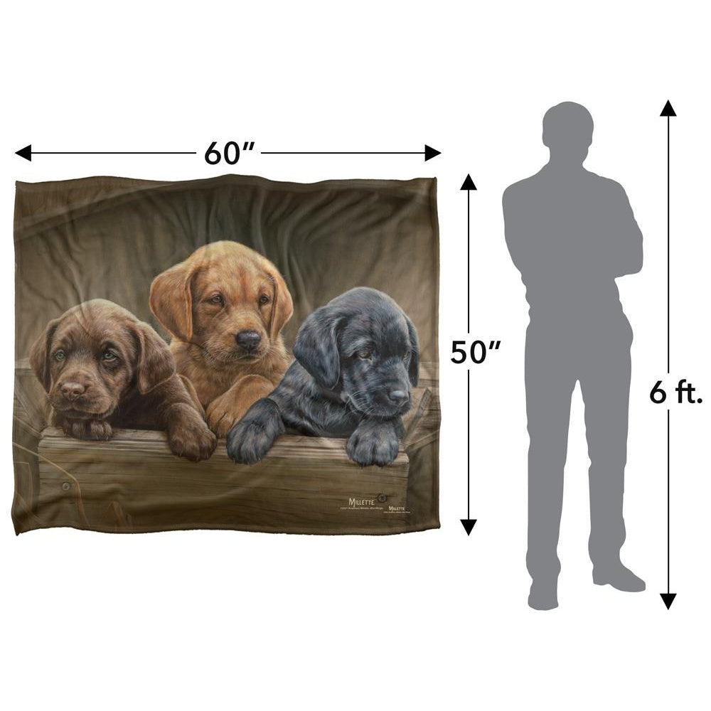 Brown-Black - Pack Shot - Wild Wings Silky Puppies Supersoft Blanket