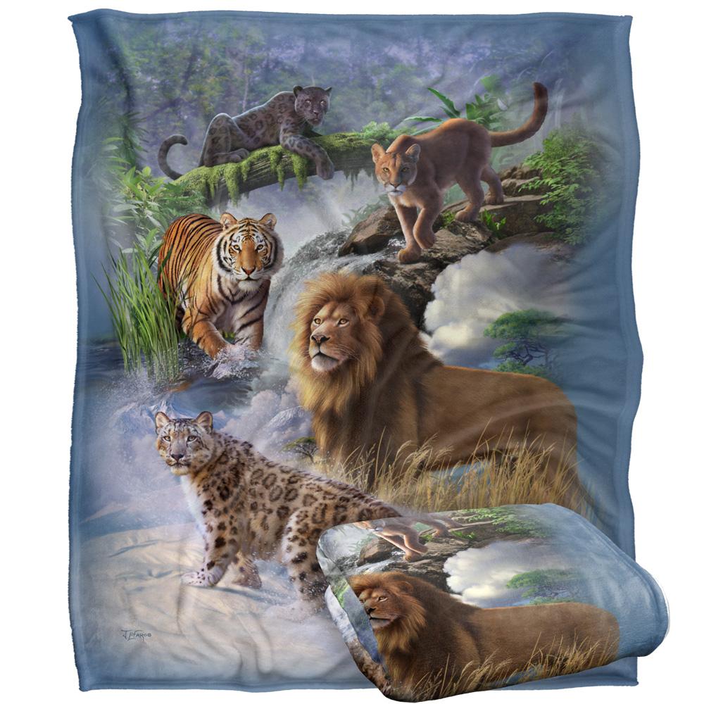 Multicoloured - Back - JQ Licensing Jlo Silky Cats Supersoft Blanket