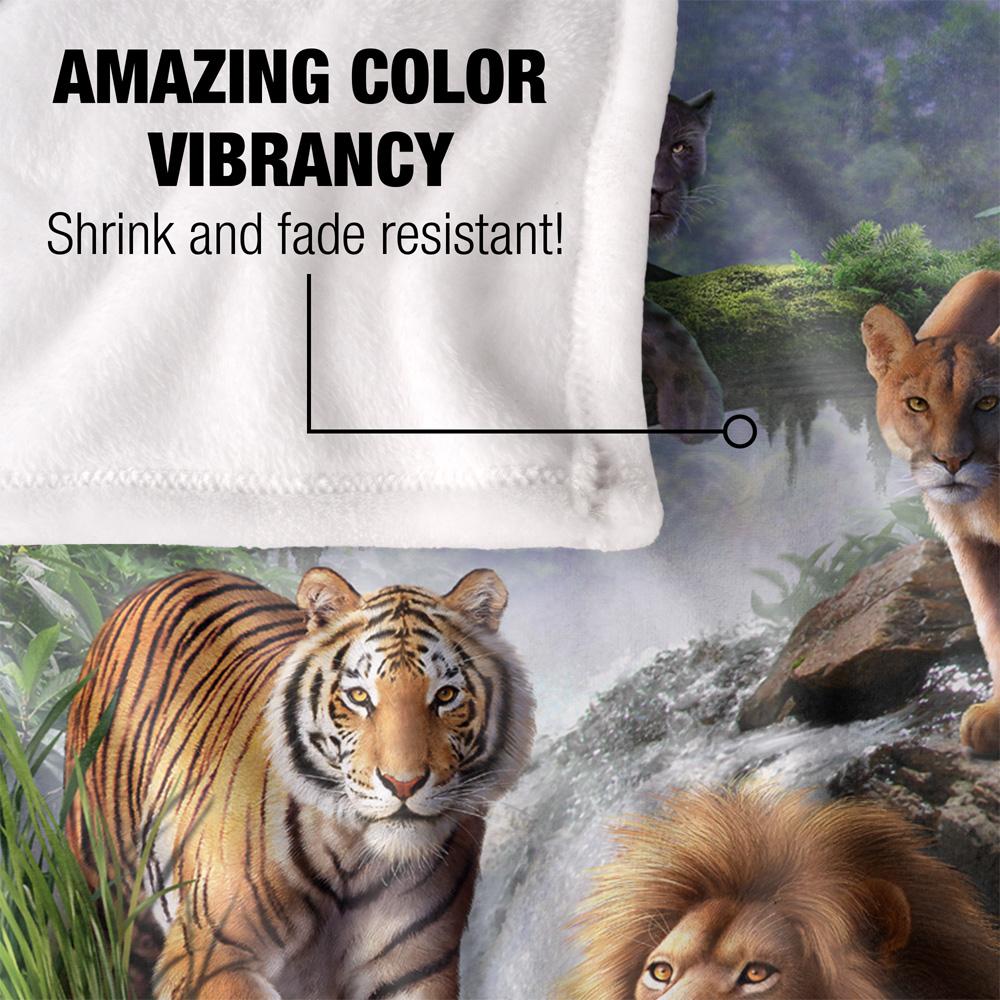 Multicoloured - Lifestyle - JQ Licensing Jlo Silky Cats Supersoft Blanket
