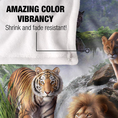 Multicoloured - Lifestyle - JQ Licensing Jlo Silky Cats Supersoft Blanket