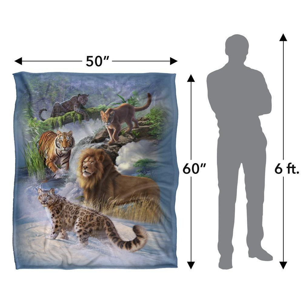 Multicoloured - Pack Shot - JQ Licensing Jlo Silky Cats Supersoft Blanket