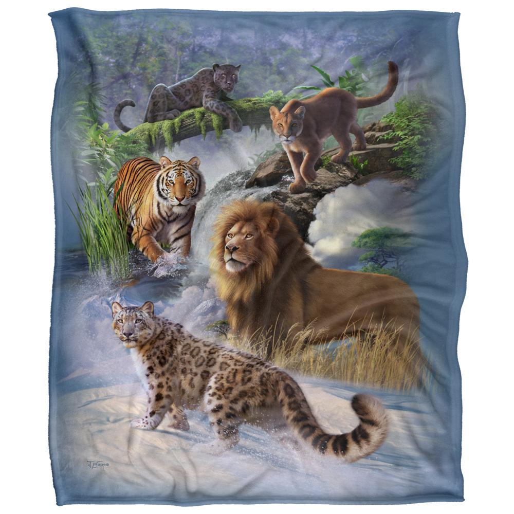 Multicoloured - Front - JQ Licensing Jlo Silky Cats Supersoft Blanket