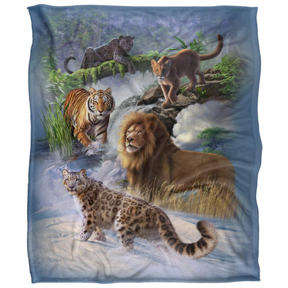 Multicoloured - Front - JQ Licensing Jlo Silky Cats Supersoft Blanket