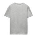 Athletic Heather - Lifestyle - Aladdin Womens-Ladies Birthday Princess Jasmine Abu Heather T-Shirt