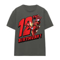 Charcoal - Front - Iron Man Womens-Ladies 12th Birthday T-Shirt