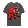 Charcoal - Front - Iron Man Womens-Ladies 9th Birthday T-Shirt