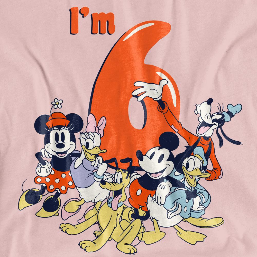 Pink - Side - Mickey Mouse & Friends Womens-Ladies Vintage Group 6th Birthday T-Shirt