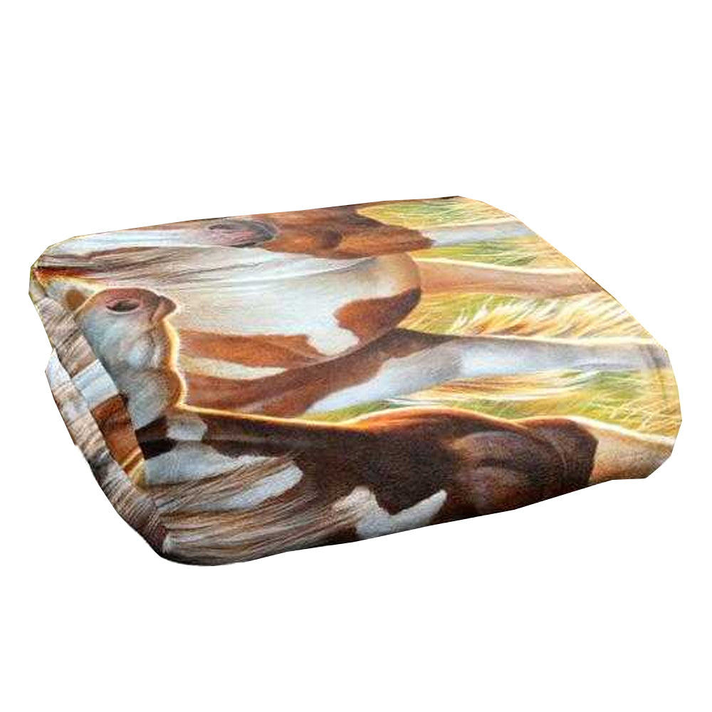 Multicoloured - Back - JQ Licensing Cf Silky Horse Supersoft Blanket