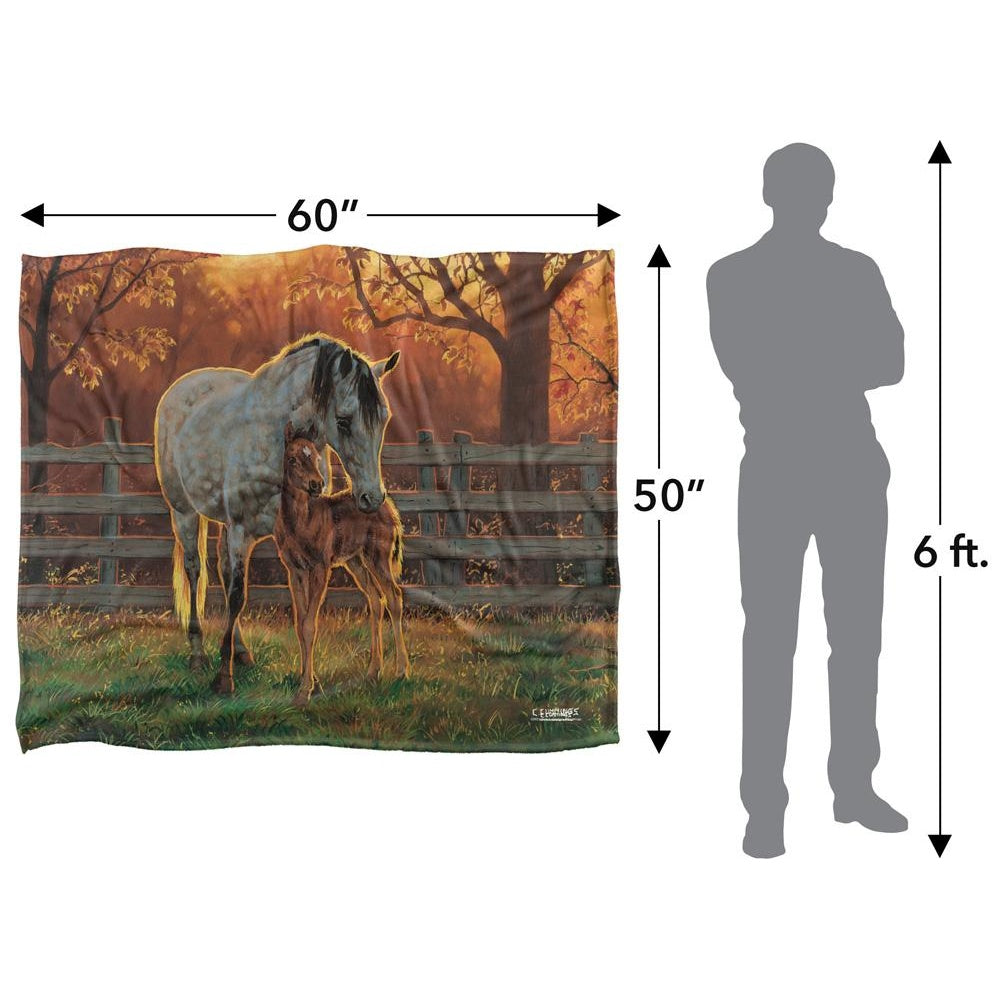 Multicoloured - Pack Shot - Wild Wings Silky Mother And Child Supersoft Blanket