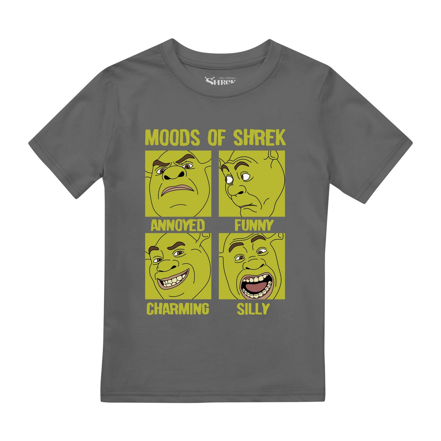 Charcoal - Front - Shrek Boys Moods Of Shrek T-Shirt