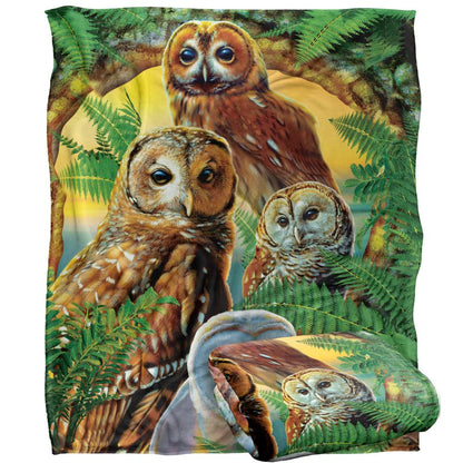 Multicoloured - Back - JQ Licensing Silky Owl Supersoft Blanket