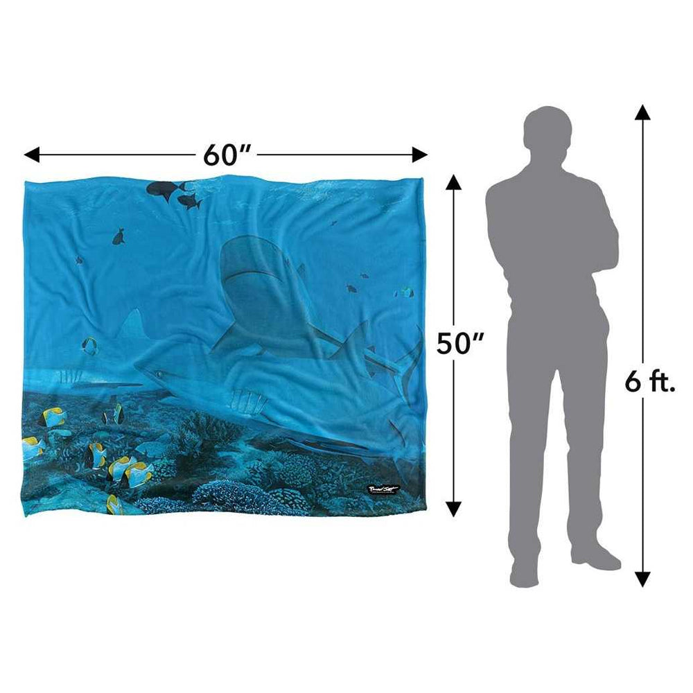 Blue - Lifestyle - Wild Wings Frenzy 2 Silky Supersoft Blanket