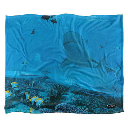Blue - Front - Wild Wings Frenzy 2 Silky Supersoft Blanket