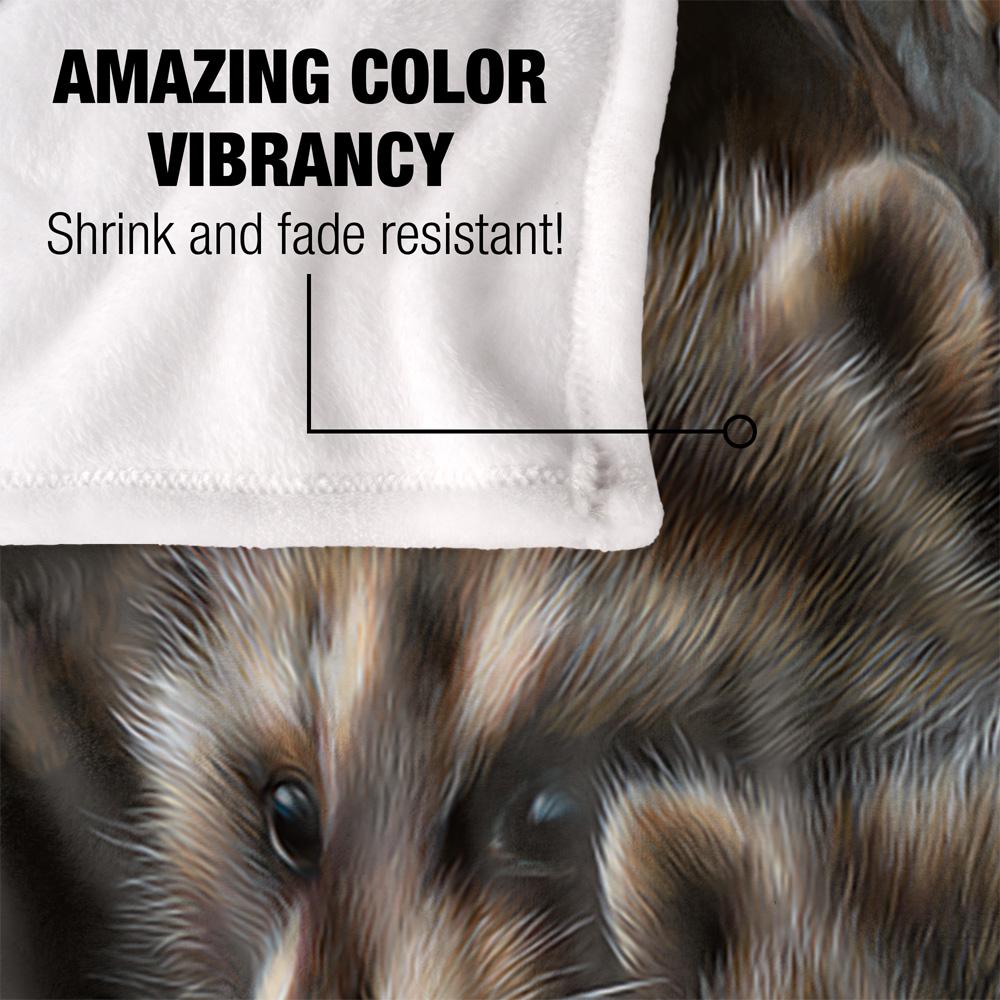 Multicoloured - Lifestyle - JQ Licensing Silky Raccoon Supersoft Blanket