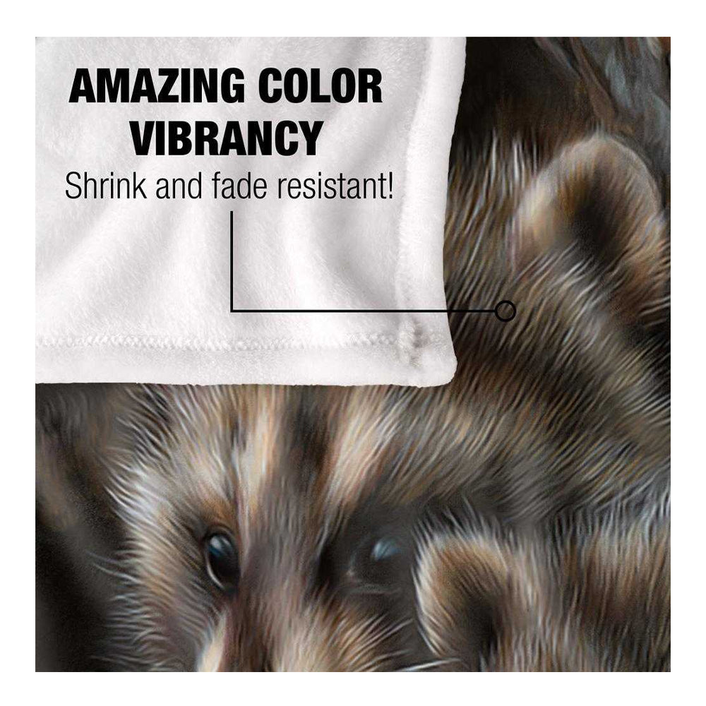 Multicoloured - Pack Shot - JQ Licensing Silky Raccoon Supersoft Blanket