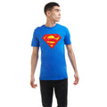 Royal Blue - Side - Superman Mens Embossed Logo T-Shirt