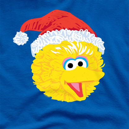 Royal Blue - Side - Sesame Street Unisex Adult Big Bird Scribble Christmas T-Shirt