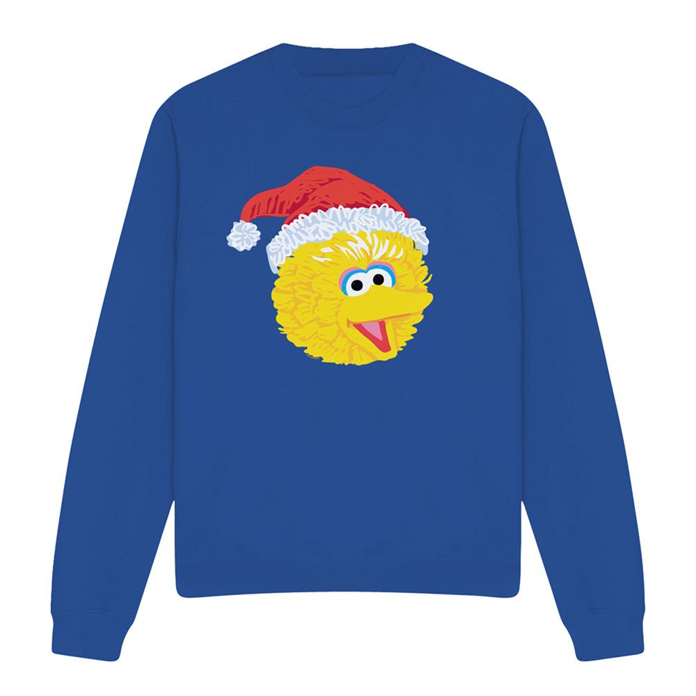 Royal Blue - Front - Sesame Street Unisex Adult Big Bird Scribble Christmas Sweatshirt