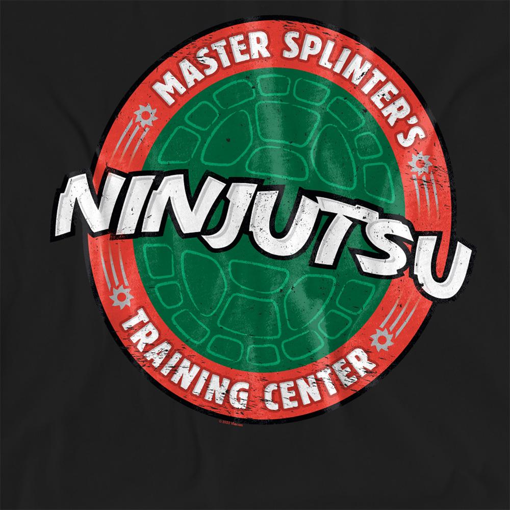 Black - Side - Teenage Mutant Ninja Turtles Womens-Ladies Ninjutsu School T-Shirt