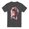 Charcoal - Front - Labyrinth Unisex Adult Jareth The Goblin King Heather T-Shirt
