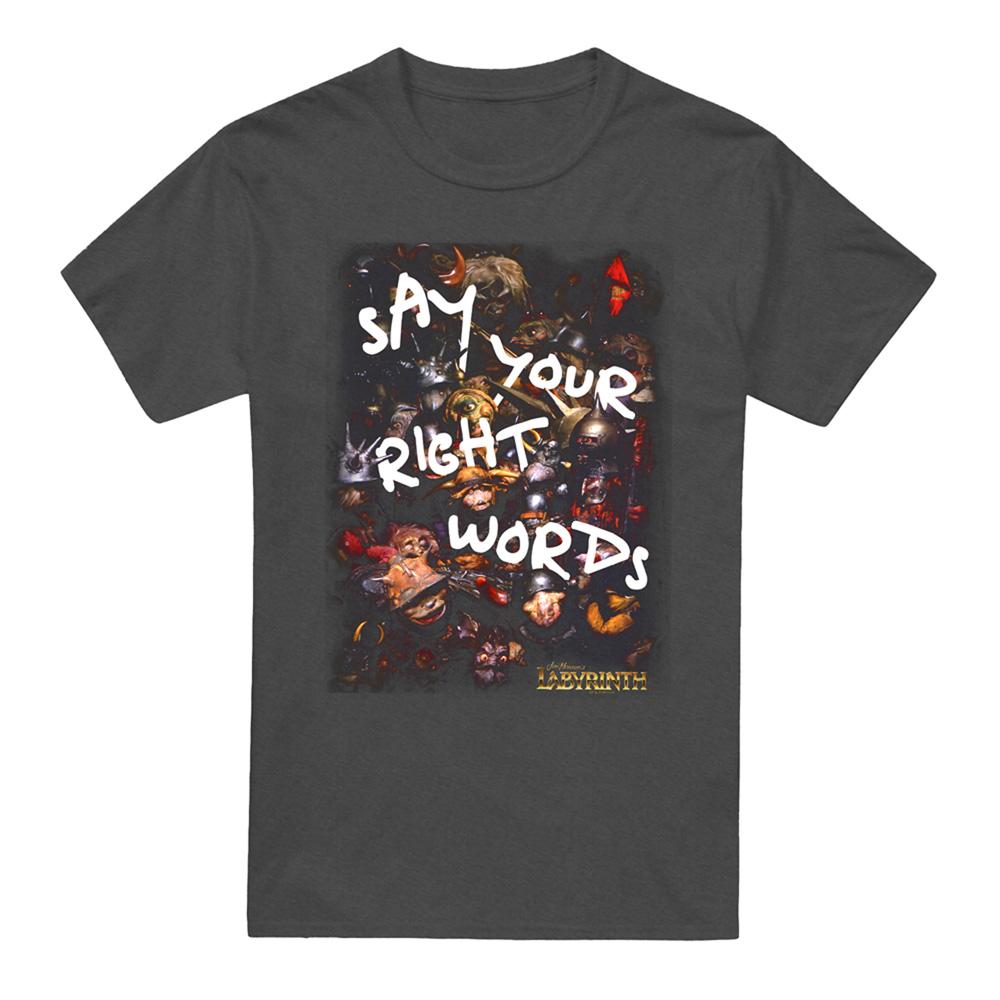 Charcoal - Front - Labyrinth Unisex Adult Right Words Heather T-Shirt