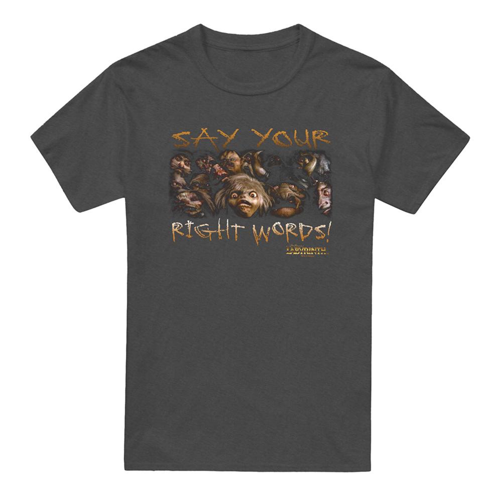 Charcoal - Front - Labyrinth Unisex Adult Say Your Right Words Heather T-Shirt