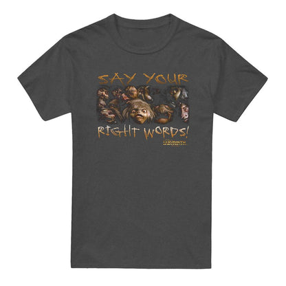 Charcoal - Front - Labyrinth Unisex Adult Say Your Right Words Heather T-Shirt