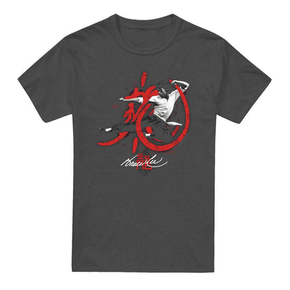 Charcoal - Front - Bruce Lee Unisex Adult High Flying Heather T-Shirt
