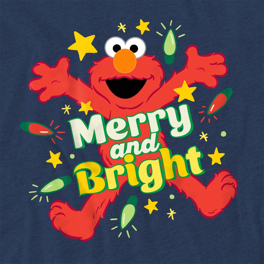 Royal Blue - Side - Sesame Street Unisex Adult Happy Holidays Characters Heather T-Shirt