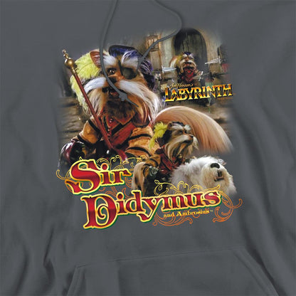 Charcoal - Side - Labyrinth Unisex Adult Sir Didymus Hoodie