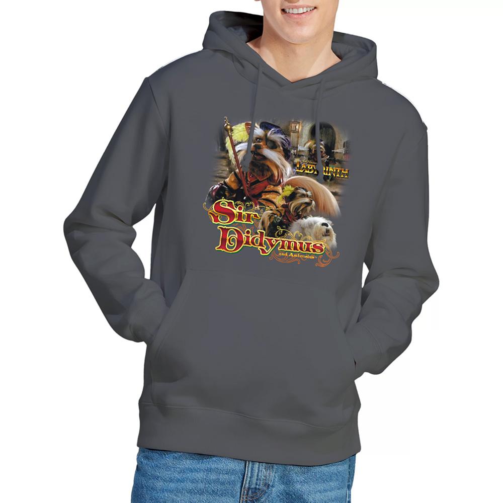 Charcoal - Lifestyle - Labyrinth Unisex Adult Sir Didymus Hoodie