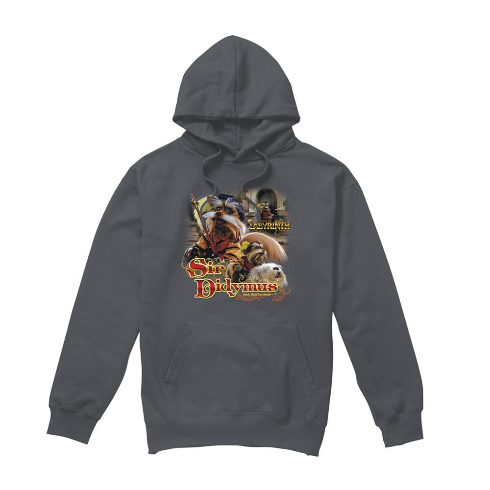 Charcoal - Front - Labyrinth Unisex Adult Sir Didymus Hoodie