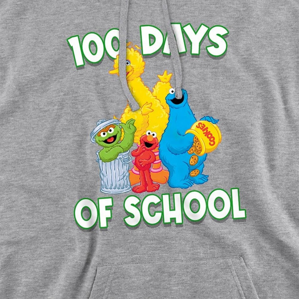 Athletic Heather - Side - Sesame Street Unisex Adult Hoodie