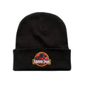 Black - Front - Jurassic Park Mens Logo Beanie